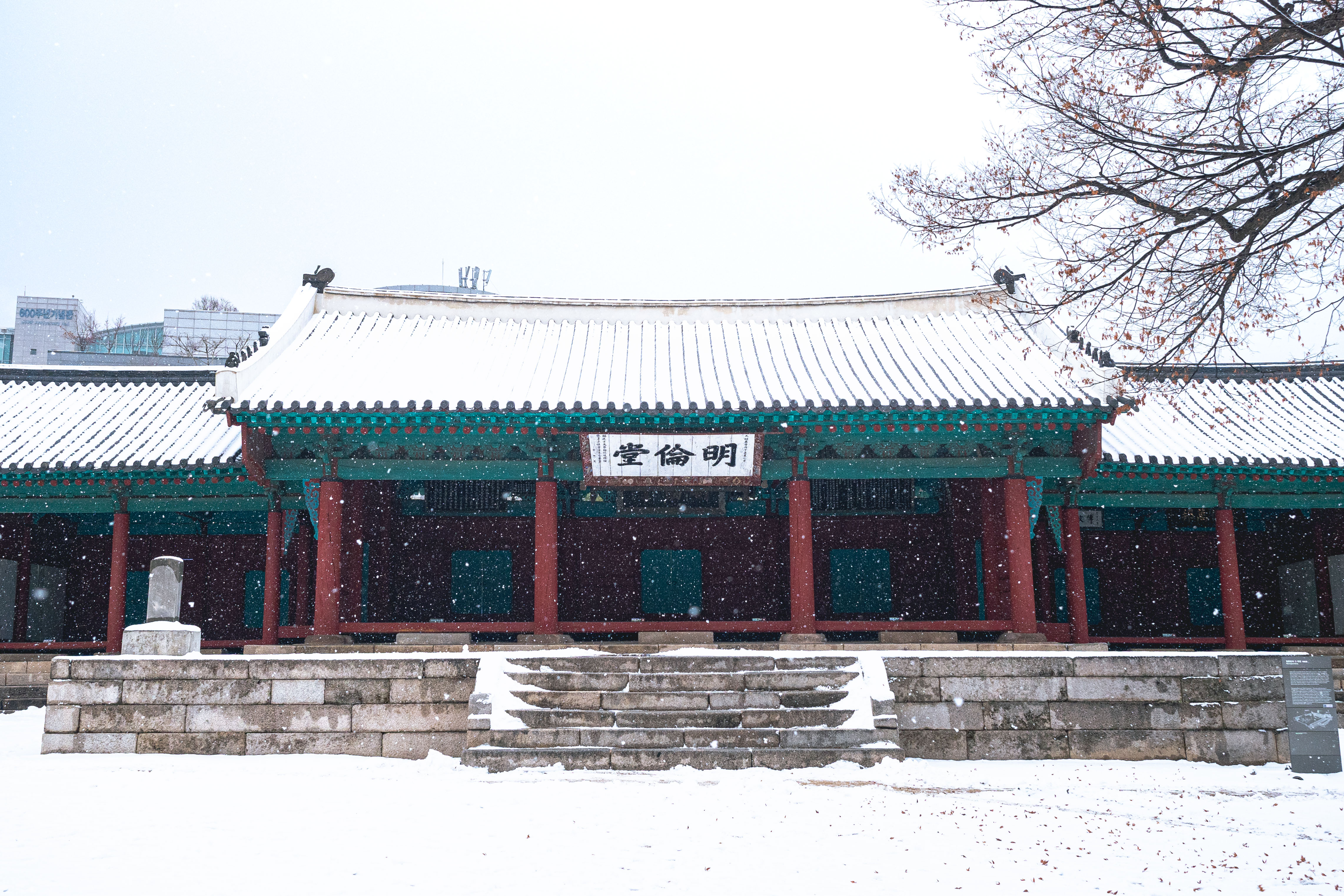 Exchange in Korea (Sungkyunkwan University)